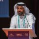 Ahmed Bin Sulayem, Executive Chairman & CEO