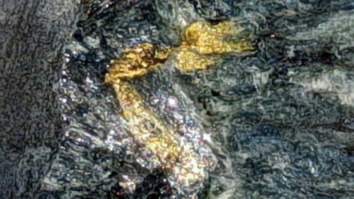 Visible Gold Mine